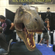 Illustration for article titled The Very Best Finds On The Floor At Comic-Con 2014